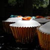 Cupcakes finished with fondant, hand made flowers and edible gold flake.